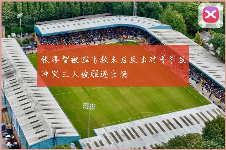 张淳智被推飞数米后反击对手引发冲突三人被驱逐出场
