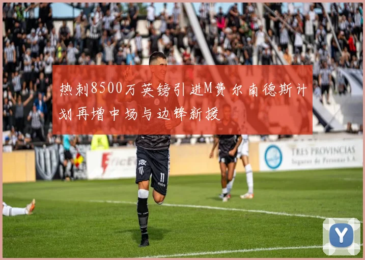 热刺8500万英镑引进M费尔南德斯计划再增中场与边锋新援