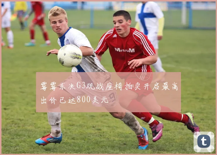 霉霉东决G3观战座椅拍卖开启最高出价已达800美元